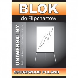 Blok FIPCHART 50kartek gładki